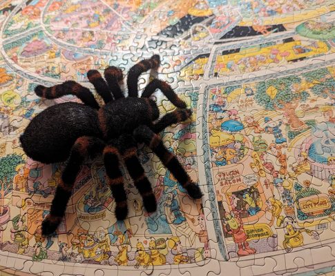 My Spider Journal: Spooky Times