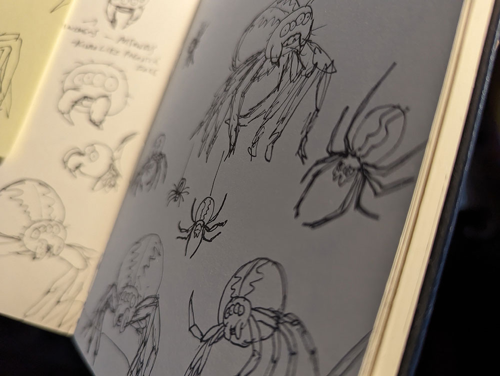 Spider Sketching